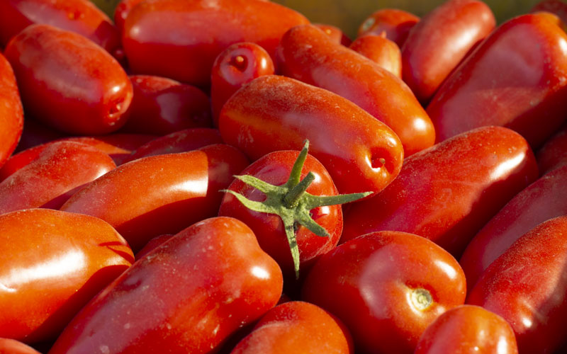 Cento Certified San Marzano Tomatoes